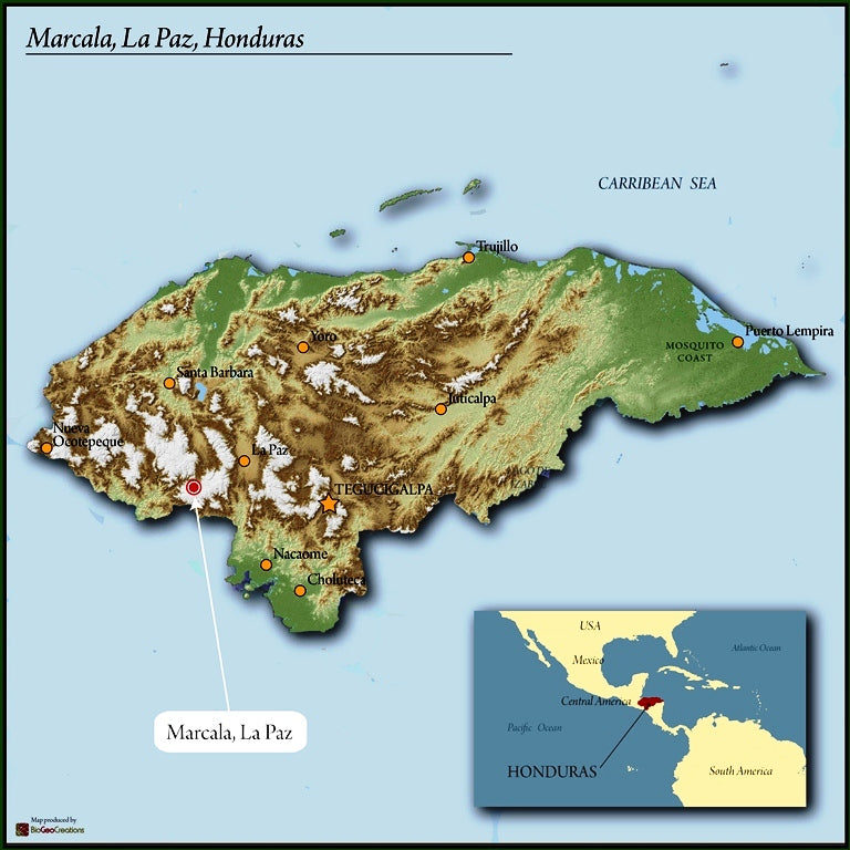 Honduras Comsa